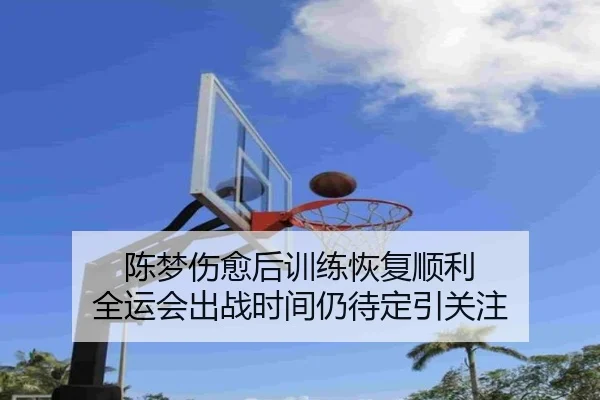 陈梦伤愈后训练恢复顺利 全运会出战时间仍待定引关注